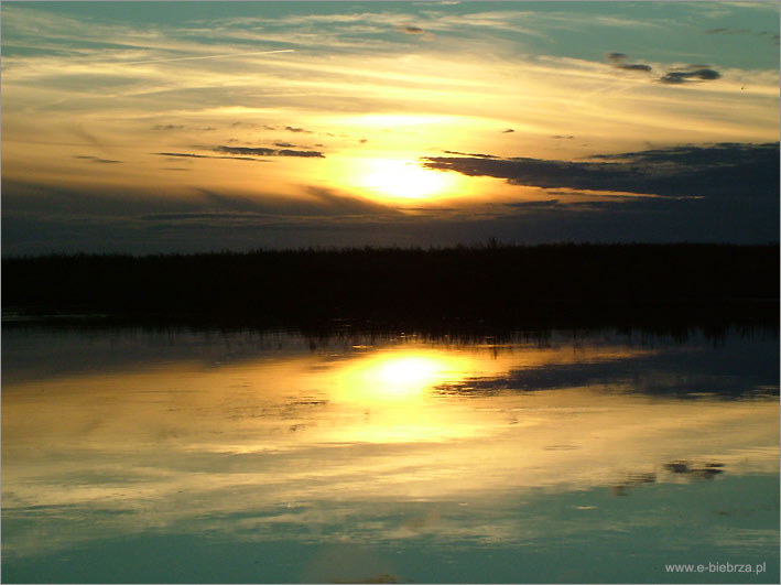 fot. Krzysztof Pochodowicz
