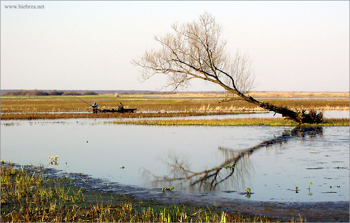 fot. Krzysztof Pochodowicz
