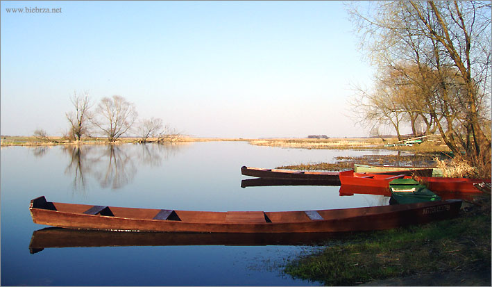 fot. Krzysztof Pochodowicz
