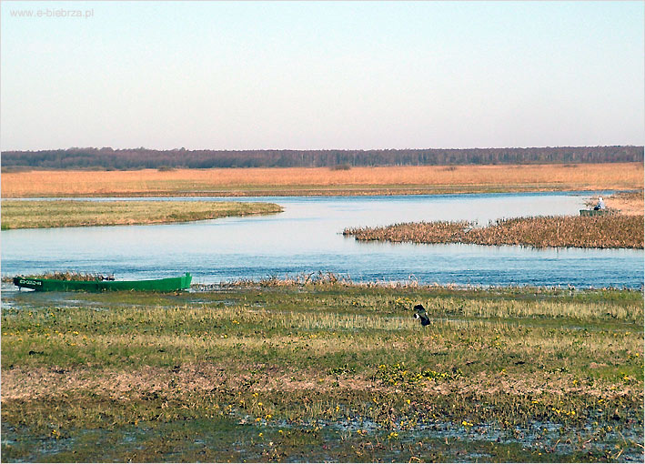 www.e-biebrza.pl