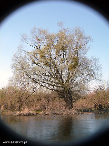 www.e-biebrza.pl