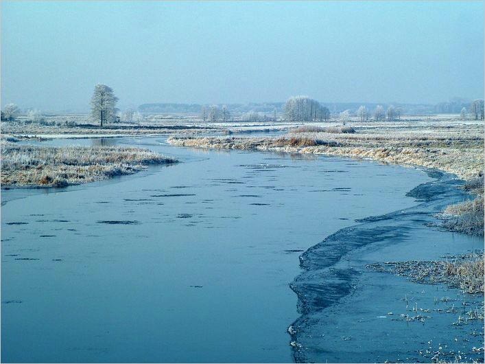 DSCF1295.jpg