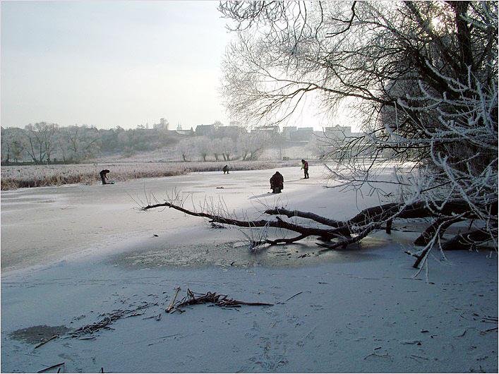 DSCF1302.jpg