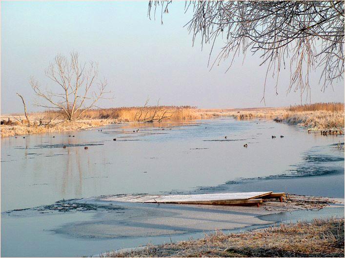 DSCF1355.jpg