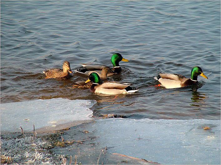 DSCF1357.jpg