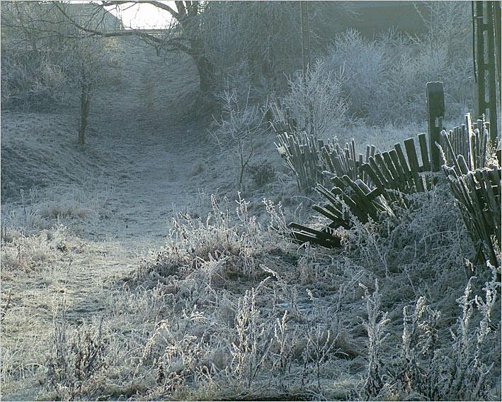 DSCF1369.jpg