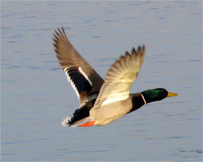 IMG_7541.jpg
