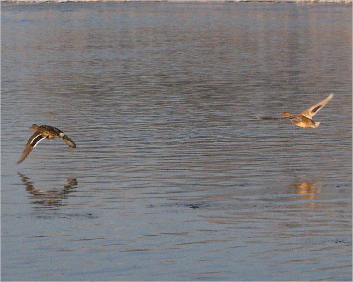IMG_7562.jpg