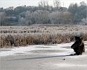 IMG_7457