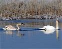 IMG_7508