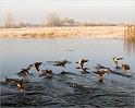 IMG_7551