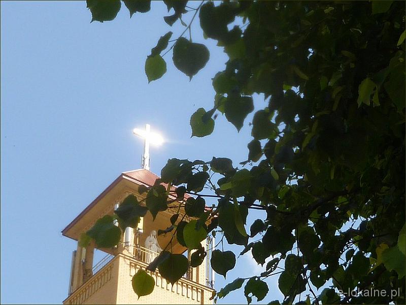 P1140405.jpg