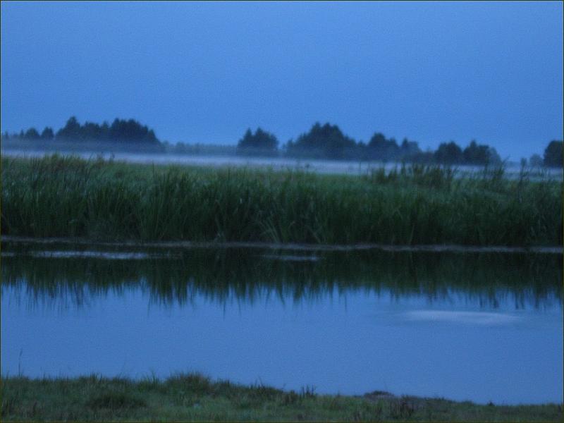 IMG_5035.jpg