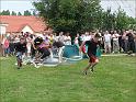 IMG_4278