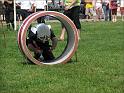 IMG_4354