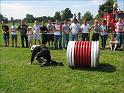 IMG_4377