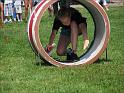 IMG_4424
