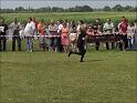 IMG_0442