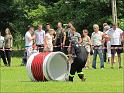 IMG_0731